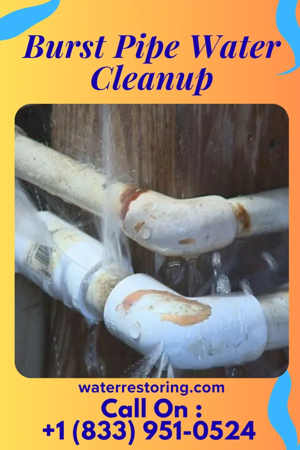 Burst Pipe Water Cleanup in Mayfield, PA