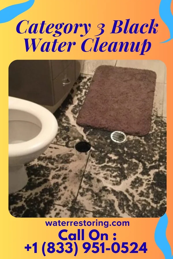 Category 3 Black Water Cleanup in Mayfield, PA
