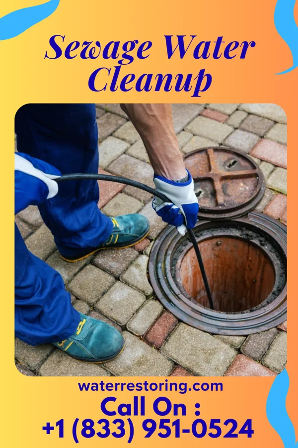 Sewage Water Cleanup in Mayfield, PA